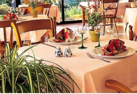 L'Hotel Des Bords De L'Ill Erstein Εξωτερικό φωτογραφία